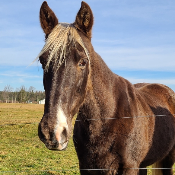 Meet Your Posher - Picture 6 of 11